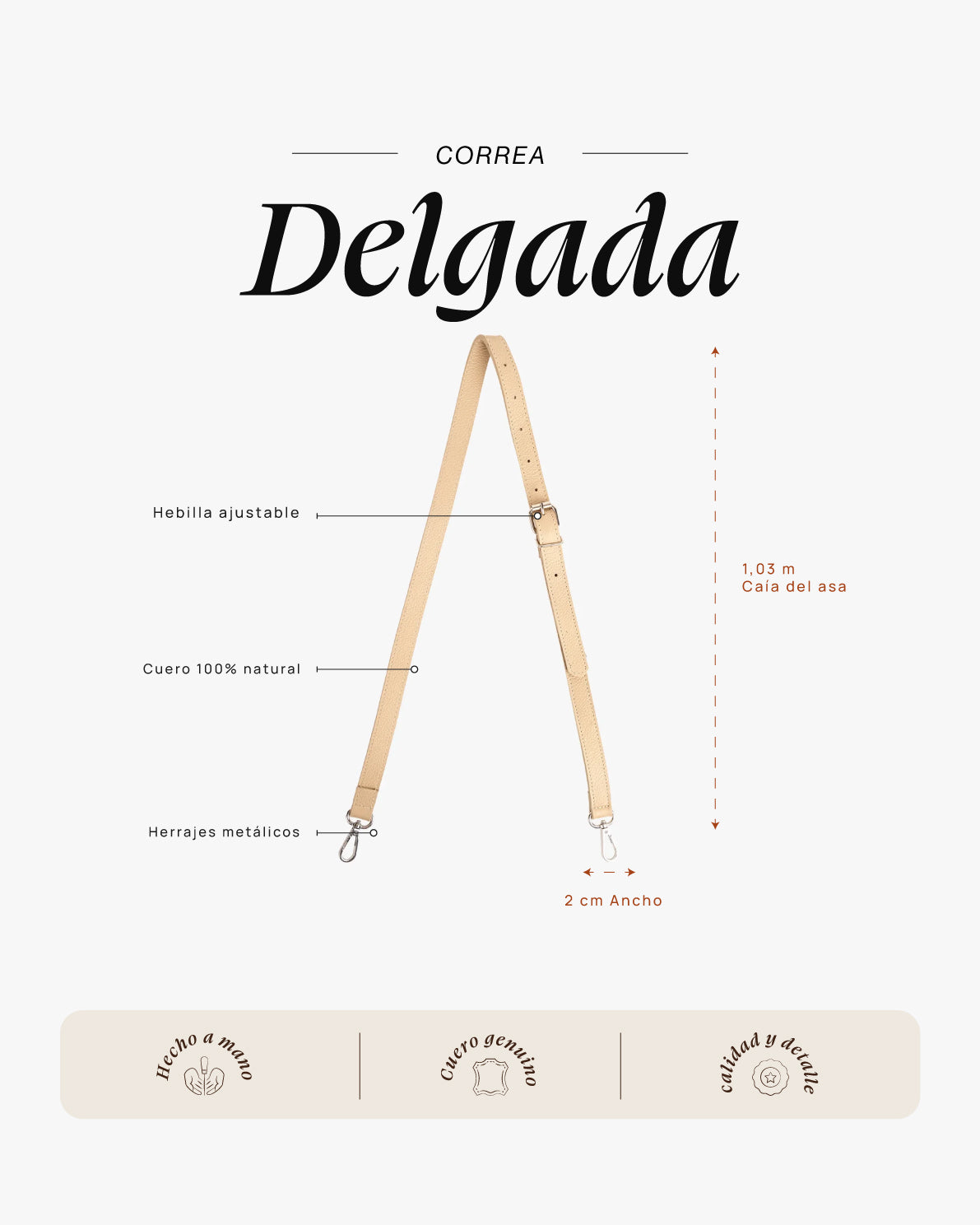 Correa Delgada Crudo