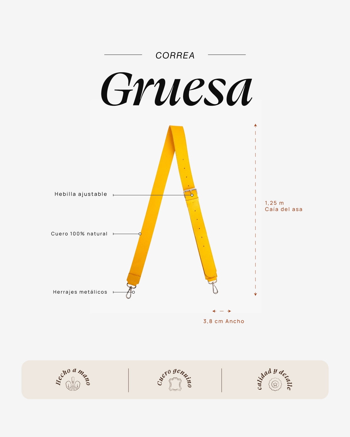 Correa Gruesa Amarillo