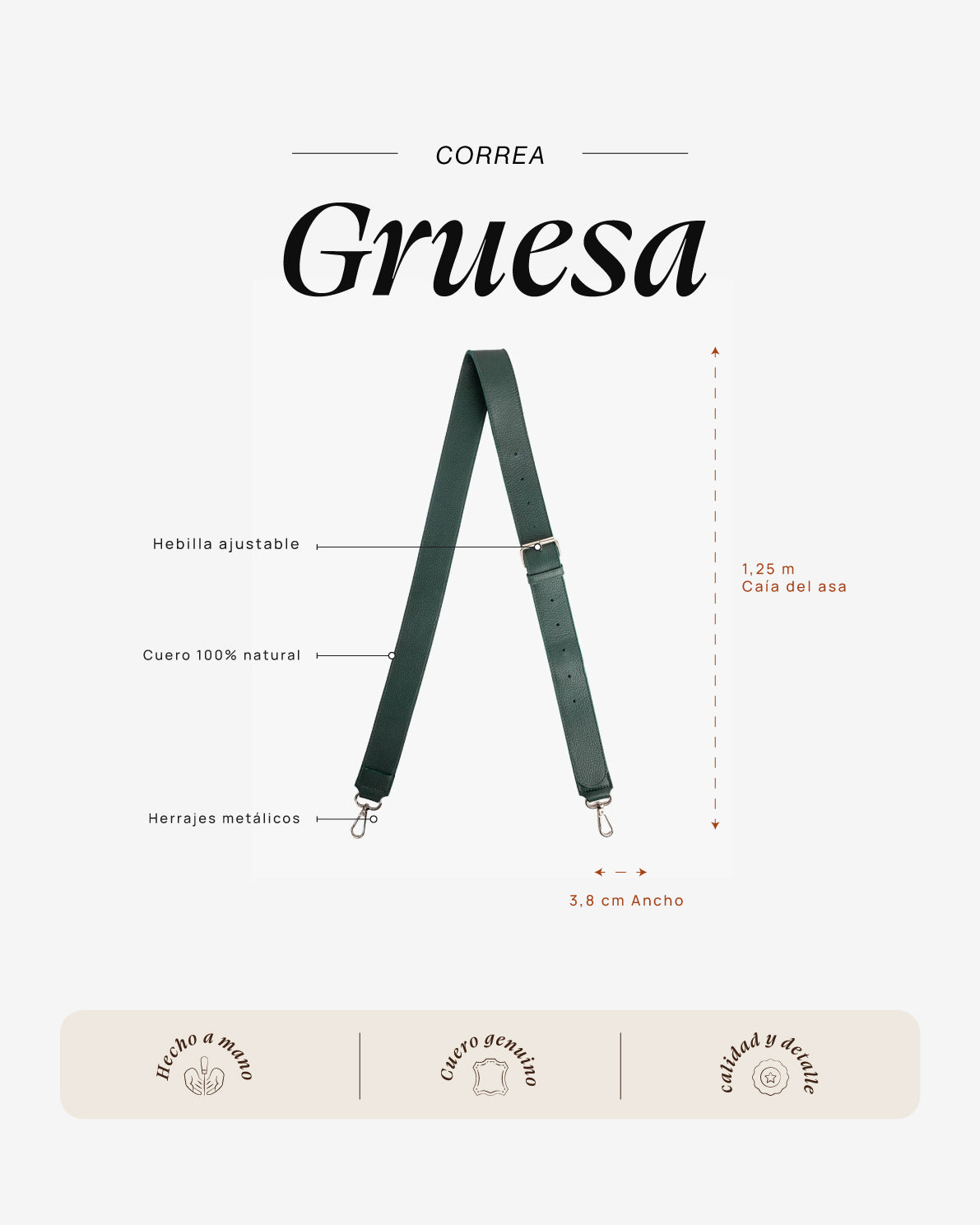 Correa Gruesa Turquesa