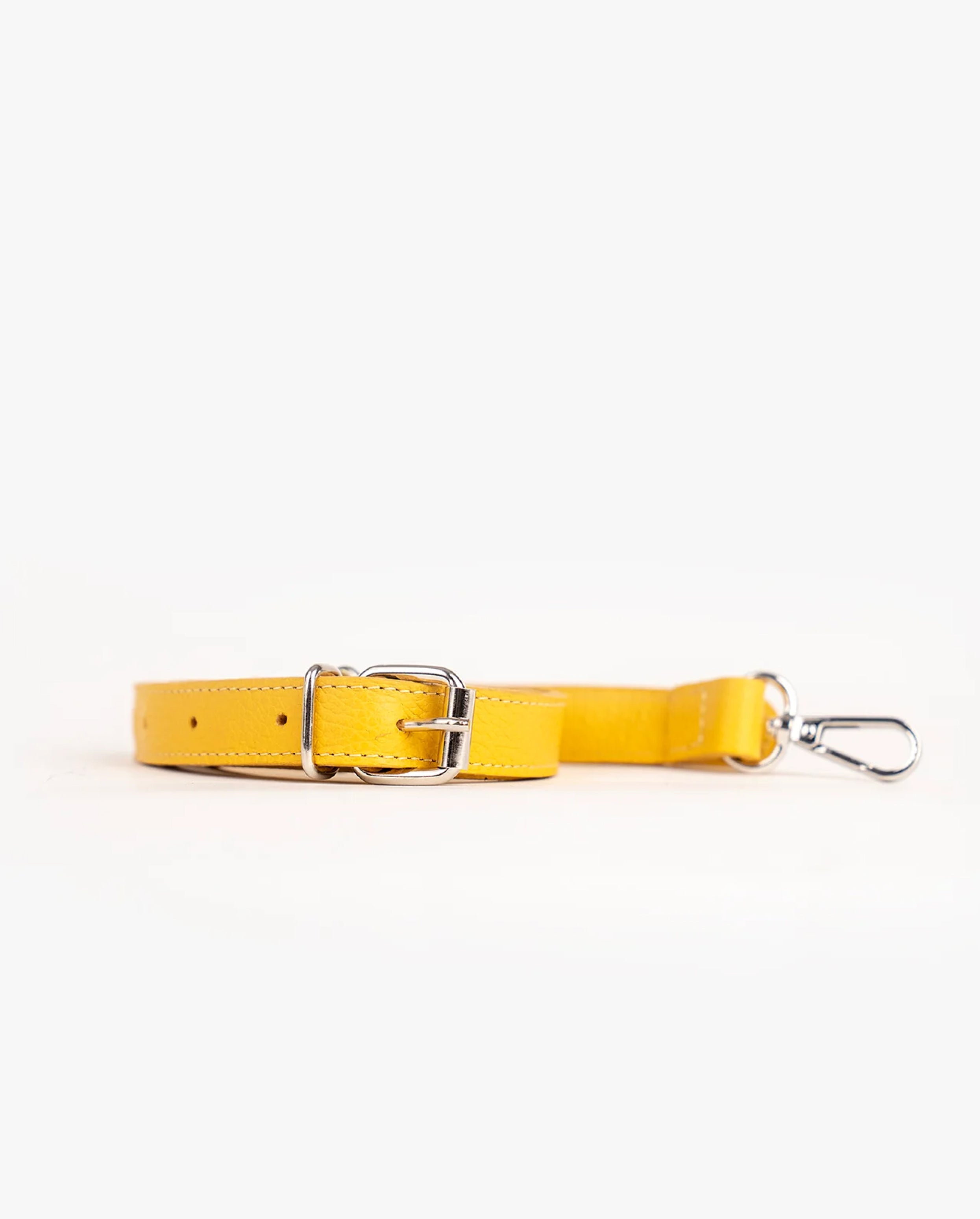 Correa Delgada Amarillo