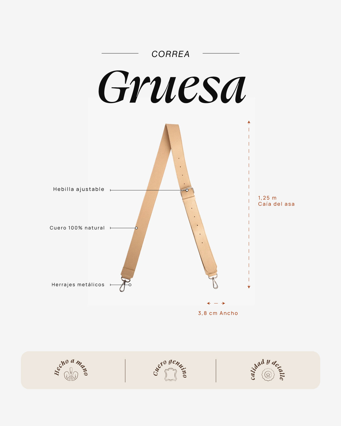 Correa Gruesa Crudo
